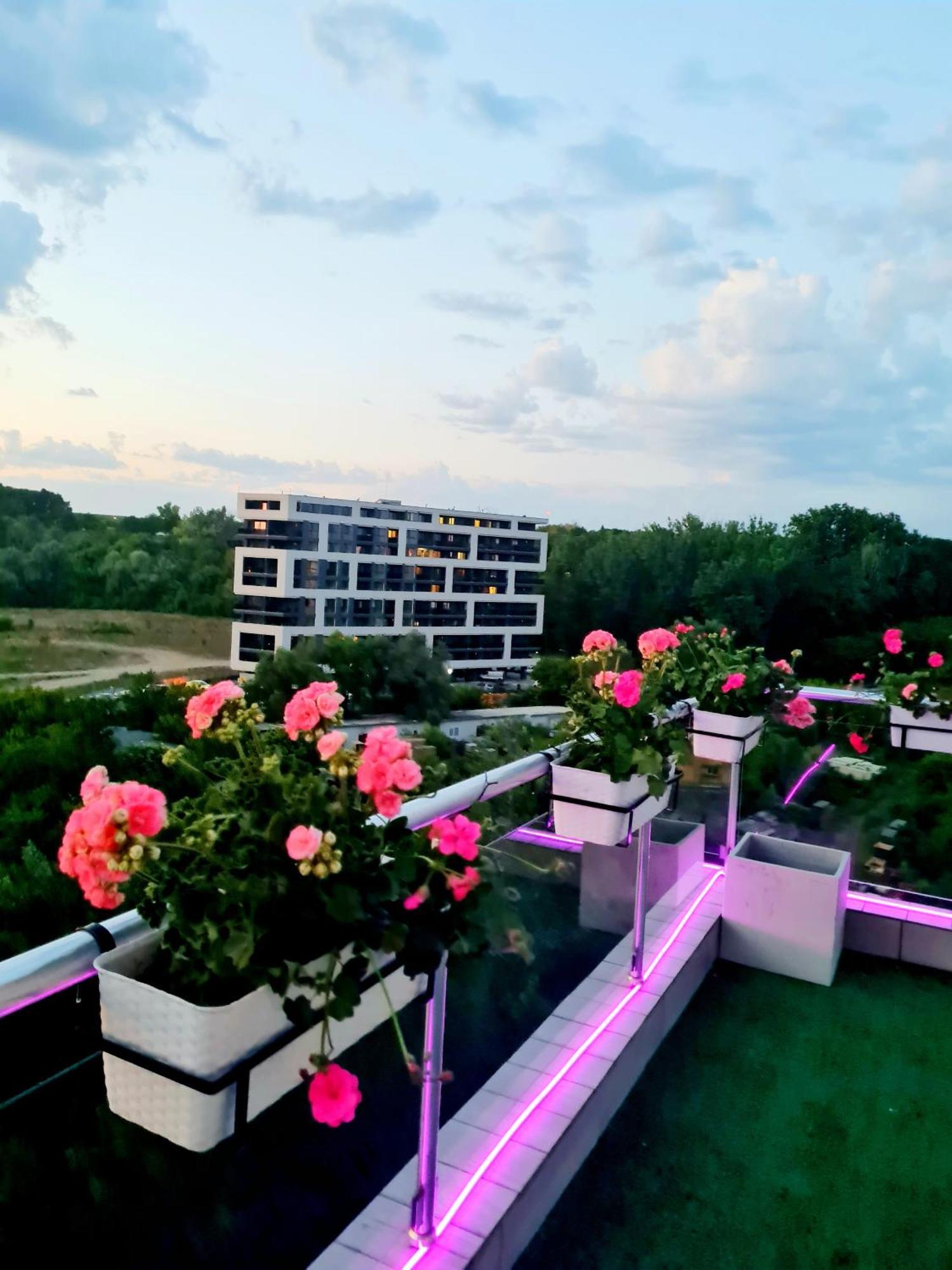 Penthouse View Aeroport Iasi 2 Apartman Kültér fotó